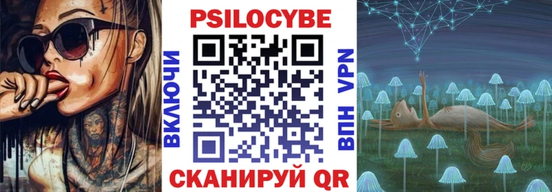 hydra зеркало  Заволжье  Псилоцибиновые грибы Psilocybine cubensis 